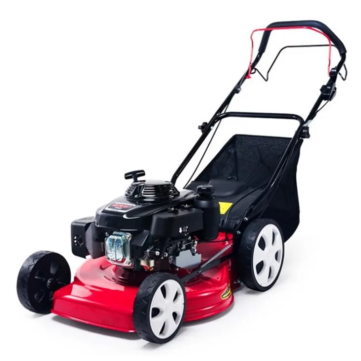 22-in Gas Self-propelled lawn mower